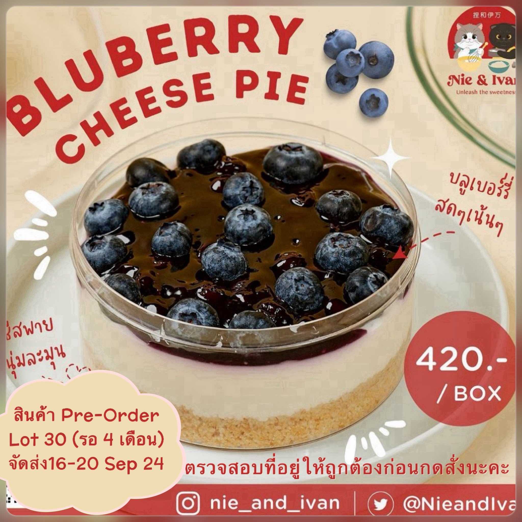 Blueberry cheese pie Lot30 (จัดส่งวันที่16-20 กันยายน) ขนมยอดนิยม