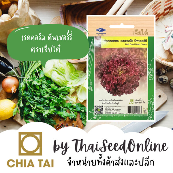 Chia Tai(เจียไต๋) CTF1 เมล็ดพันธุ์ ผักกาดหอม เรดคอรัล ดีพเชอร์รี่ ประมาณ500-600เมล็ด ตราเจียไต๋ R...