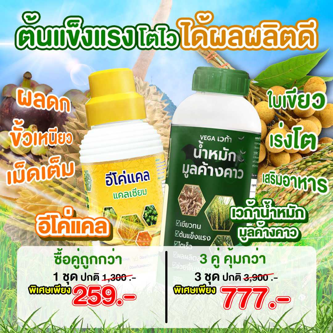 ชุดคู่อีโค่แคลและน้ำหมักมูลค้างคาว