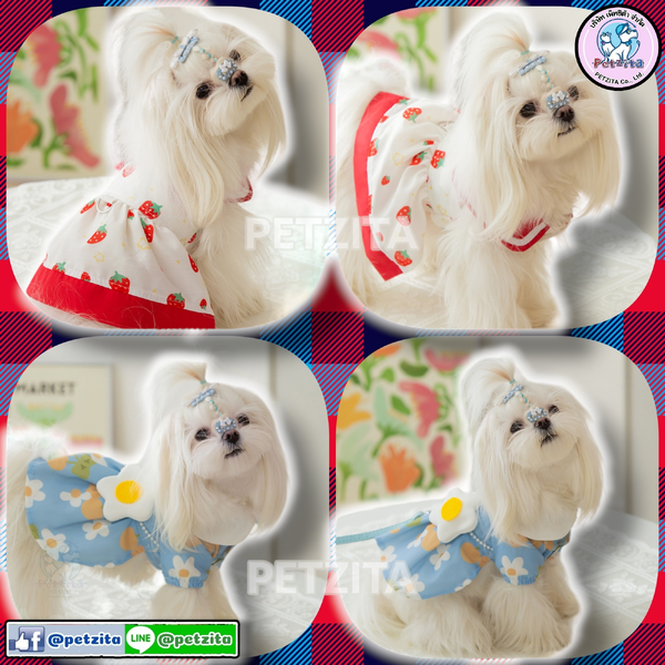 🇹🇭พร้อมส่ง🇹🇭 💮🍓 เดรสคุณหนูสุดน่ารัก งานแบรนด์ for pet เสื้อสุนัข ชุดหมา ชุดแมว