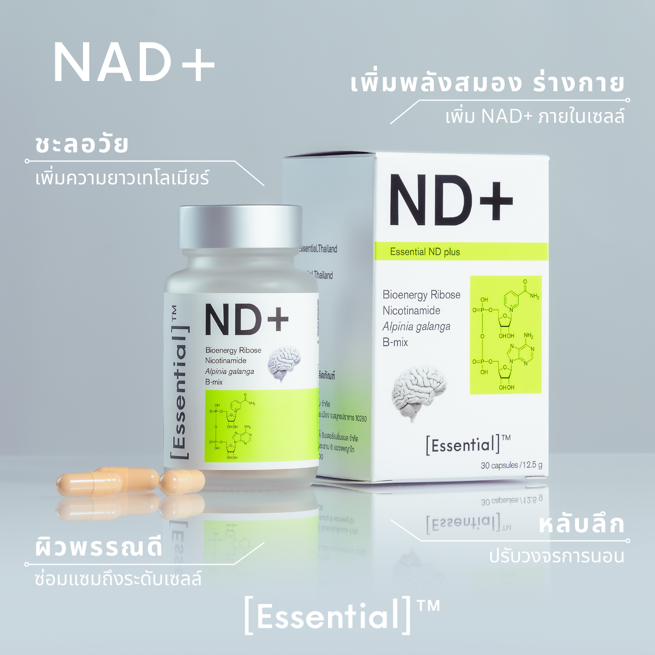 Essential NAD+ ชะลอวัย เพิ่มความยาวเทโลเมียร์ ซ่อมแซมเซลล์และ DNA หลับลึก ผิวดี 1 กล่องมี 30 แคปซูล