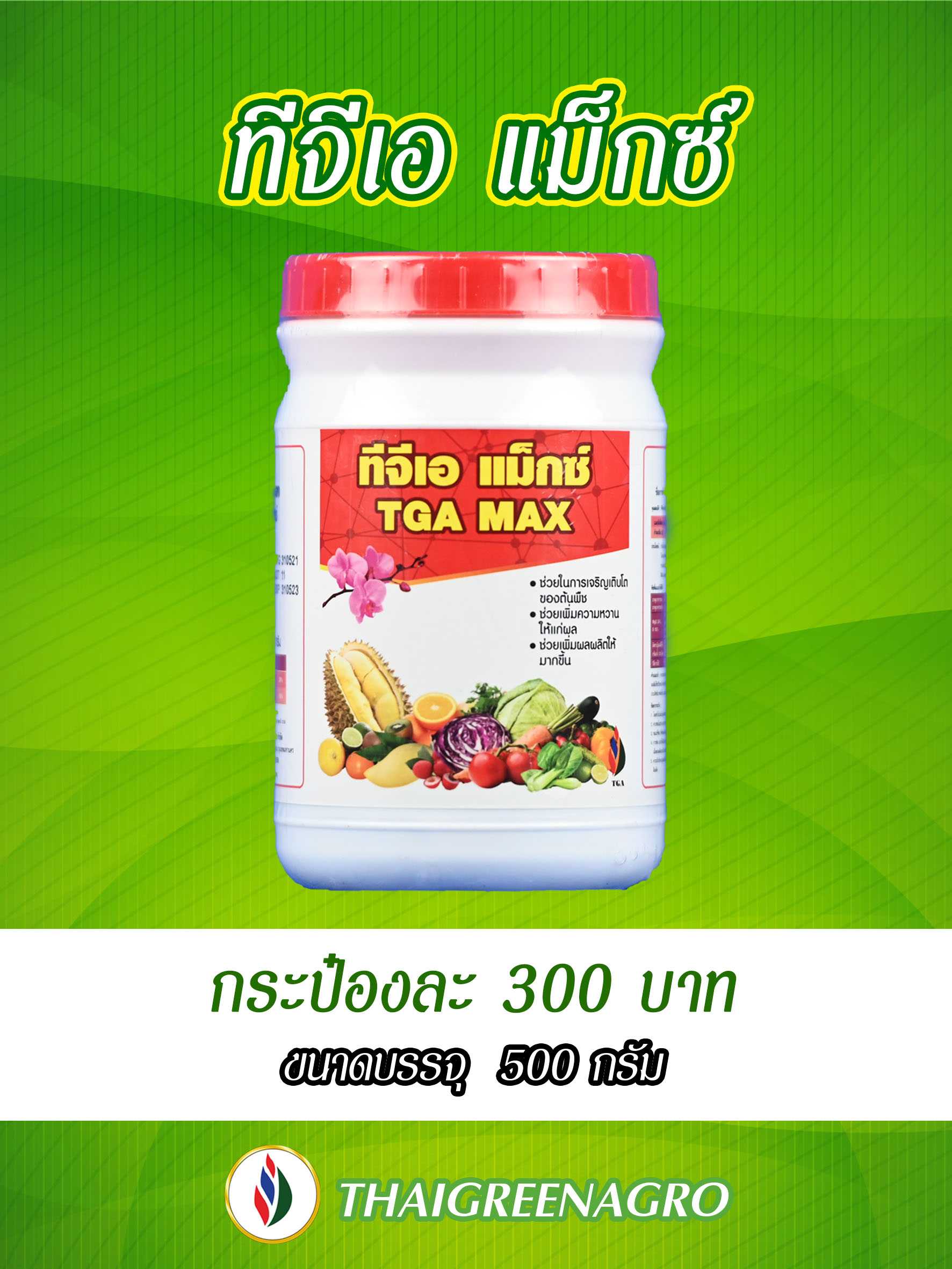 ทีจีเอ แม็กซ์