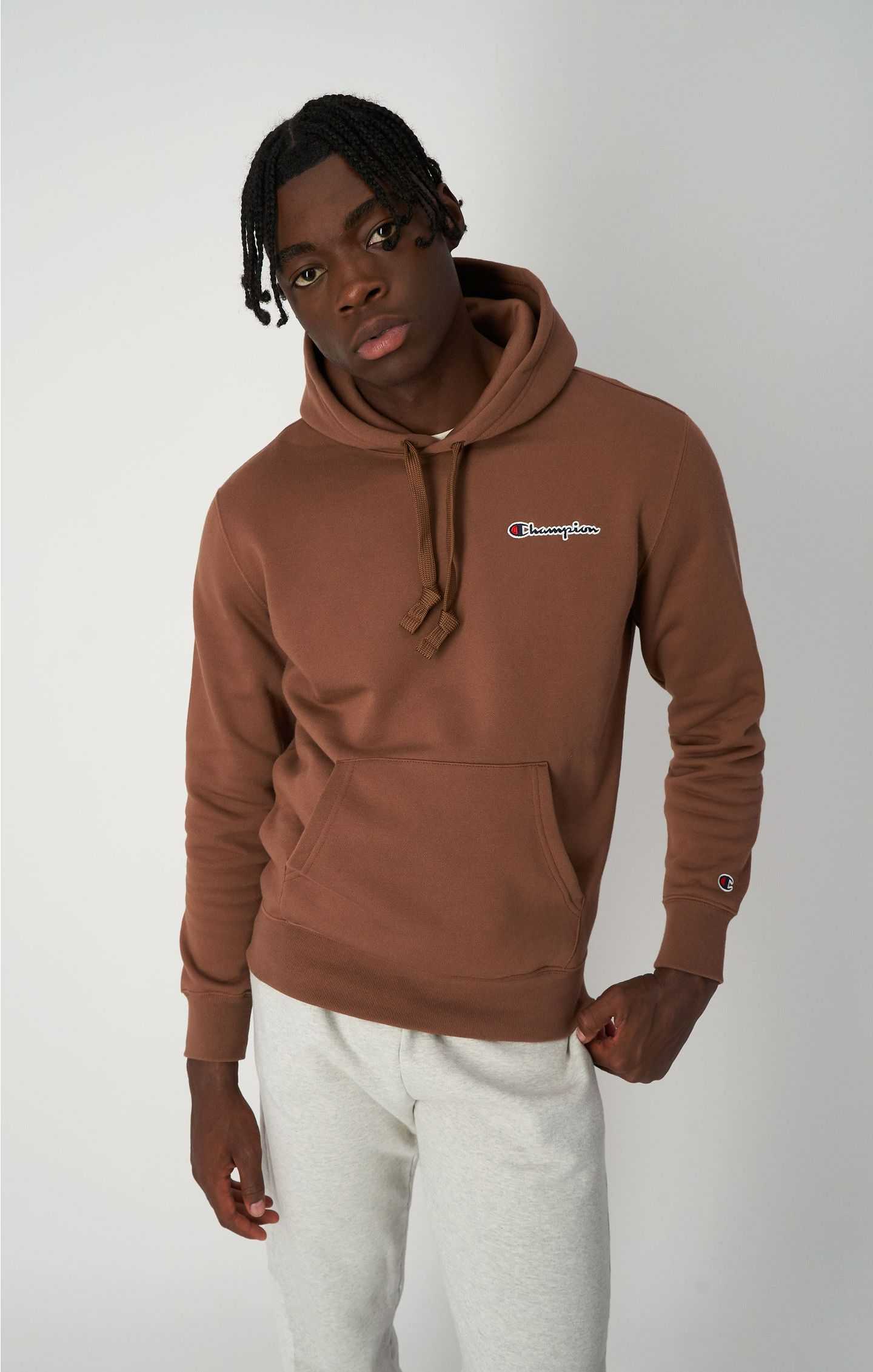 CHAMPION ROCHESTER 1919SMALL SCRIPT LOGO EMBROIDERY FLEECE HOODIE