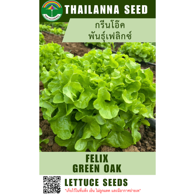 กรีนโอ๊ค พันธุ์เฟลิกซ์ ( ขนาด 0.5 กรัม ) รหัสสินค้า 2039
