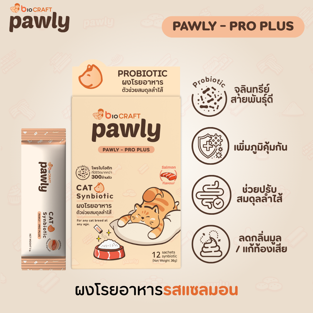 Pawly Pro Plus Salmon Cat ผงโปรไบโอติกโรยอาหาร แมว ขับถ่ายดี ลำไส้แข็งแรง ลดกลิ่นมูล ท้องเสีย