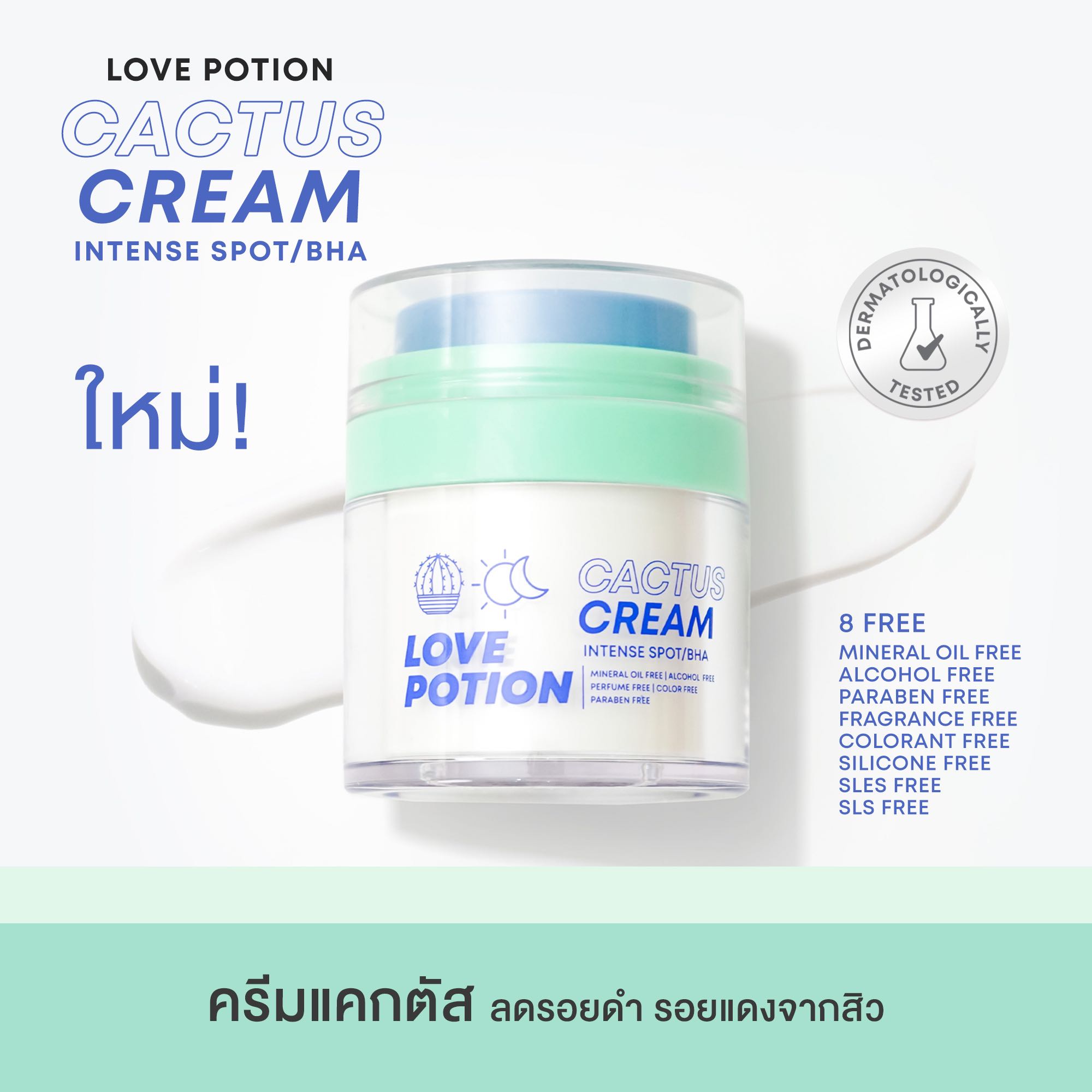 NEW Cactus Cream Box