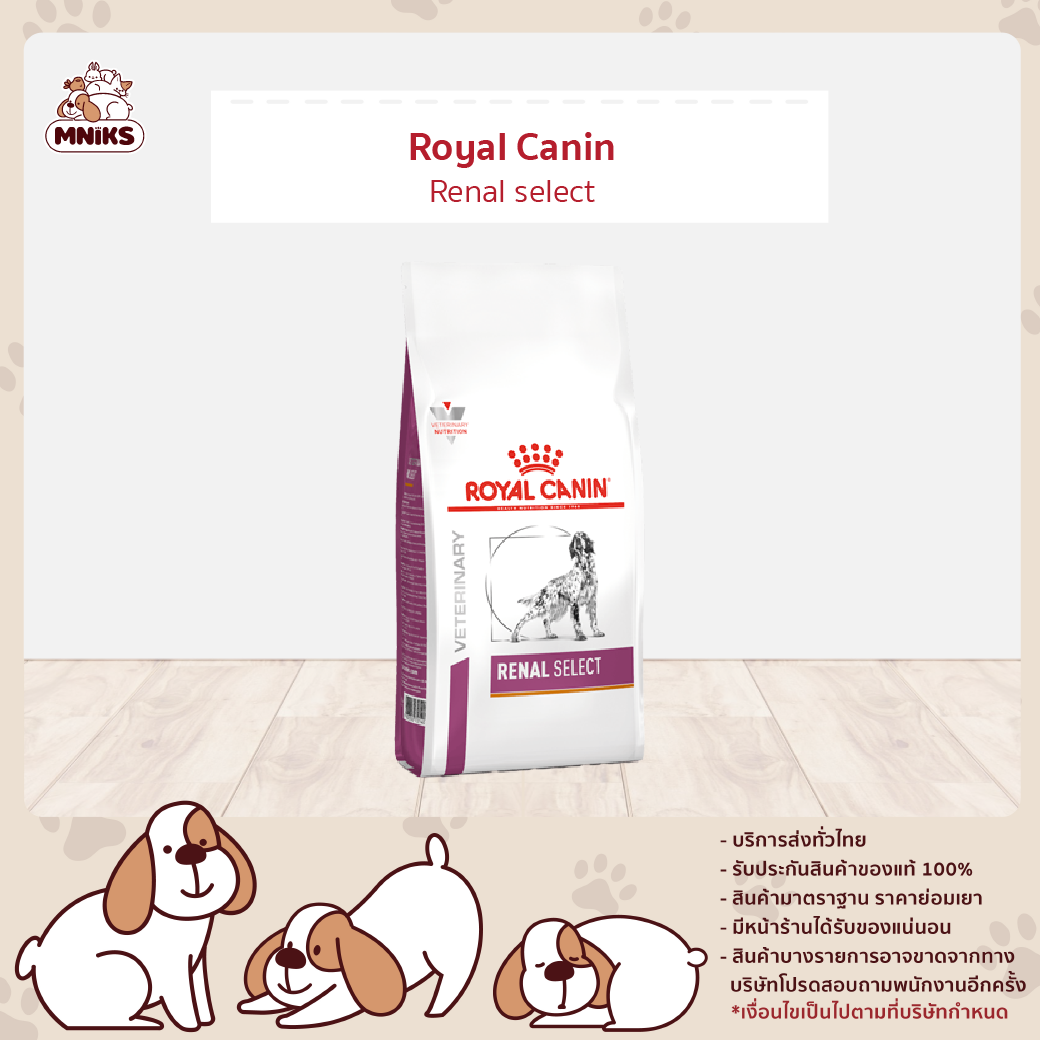 Royal Canin VET DOG RENAL SELECT (เลือกขนาด 2kg. / 10kg.)(MNIKS)
