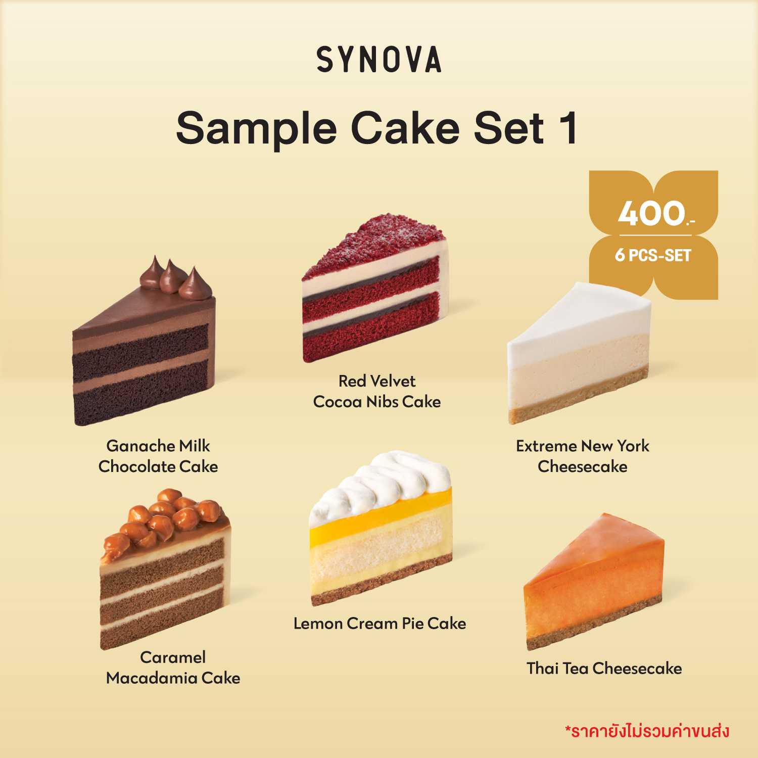 SYNOVA : Sample Cake Set 1