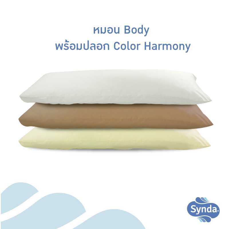 หมอนบอดี้ _ ปลอกหมอนบอดี้ Color Harmony
