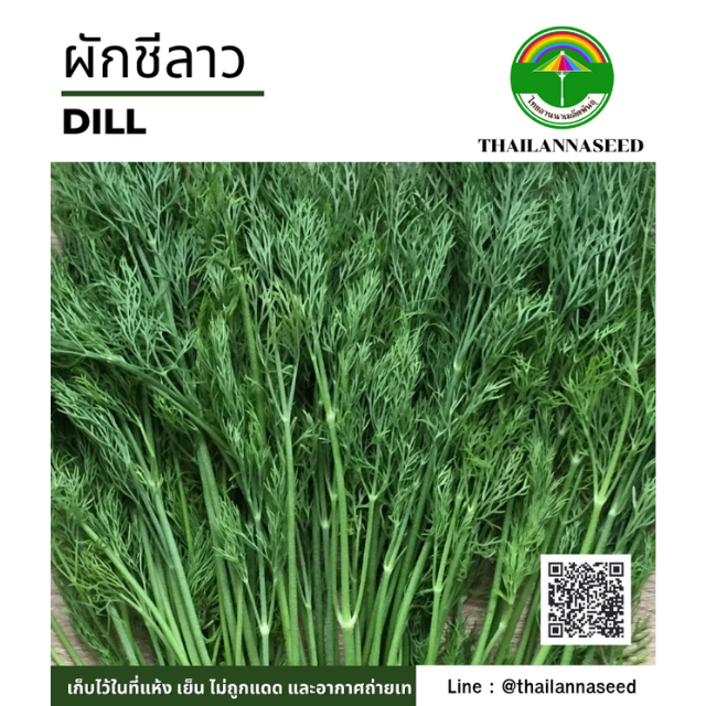 ผักชีลาว ( ขนาด 2 กรัม ) รหัสสินค้า 4029
