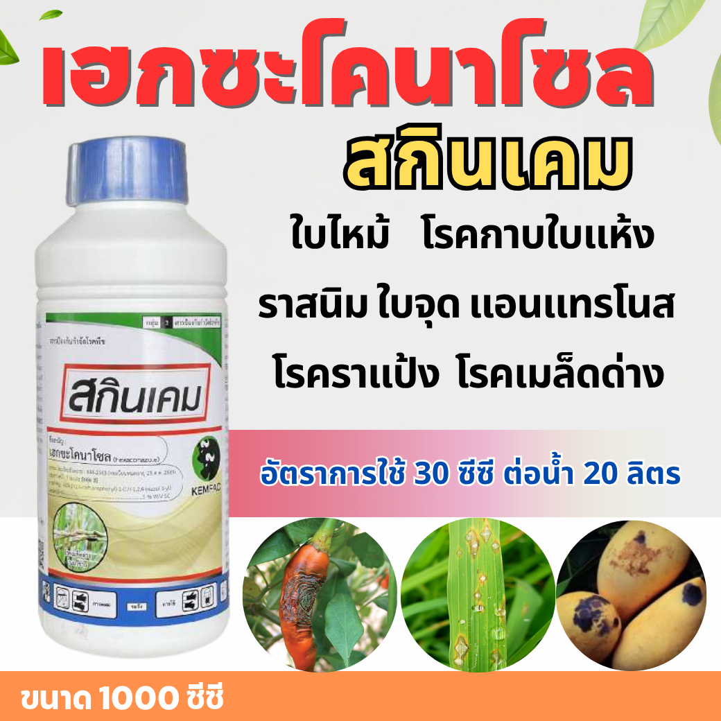 สกินเคม : เฮกซะโคนาโซล 1 L  ใบไหม้  กาบใบแห้ง ราสนิม แอนแทรคโรส  ใบจุด ราแป้ง เมล็ดด่าง