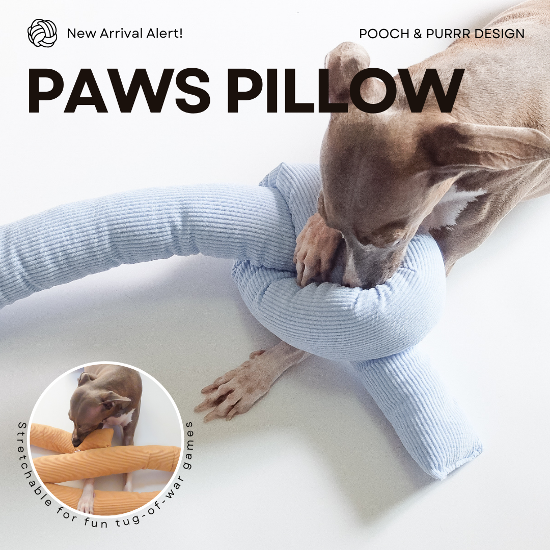 POOCH & PURRR | Paws Pillow CANDY Collection หมอนตุ๊กตา ตุ๊กตาของเล่นสุนัข ซ่อนขนม ของเล่นมีเสียง