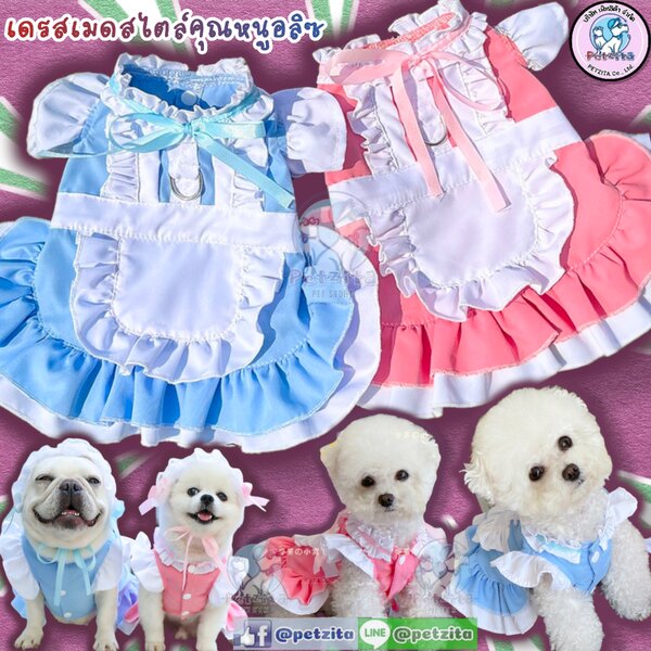 🇹🇭พร้อมส่ง🇹🇭👗👰💗เดรสเมดสไตล์สาวน้อยอลิซในดินแดนมหัศจรรย์ 💗 คาวาอิ น่ารักมากๆจ้า for pet เส...