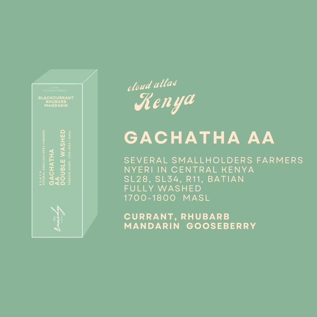 100 g Kenya Gachatha washed