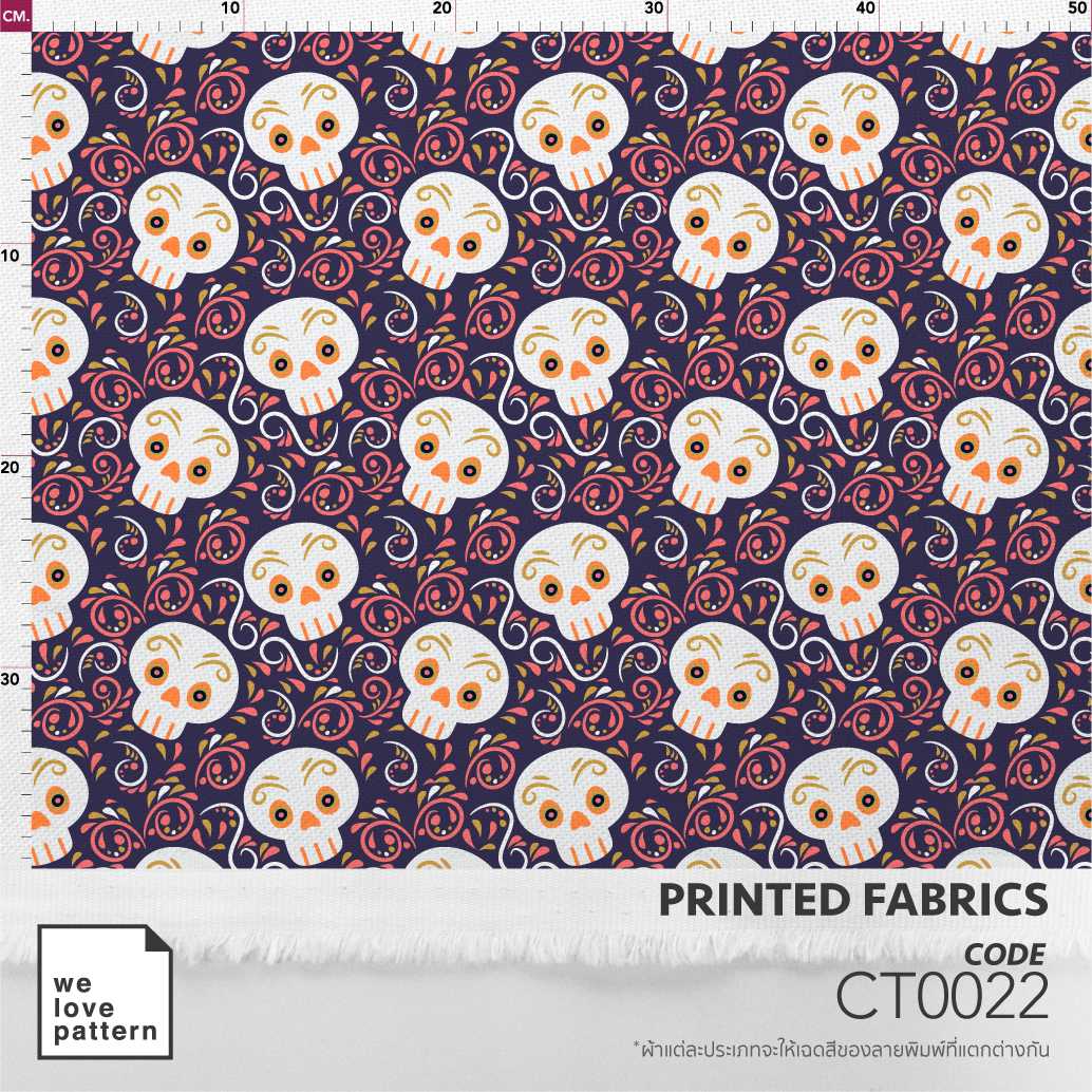 รหัสลาย : CT0022