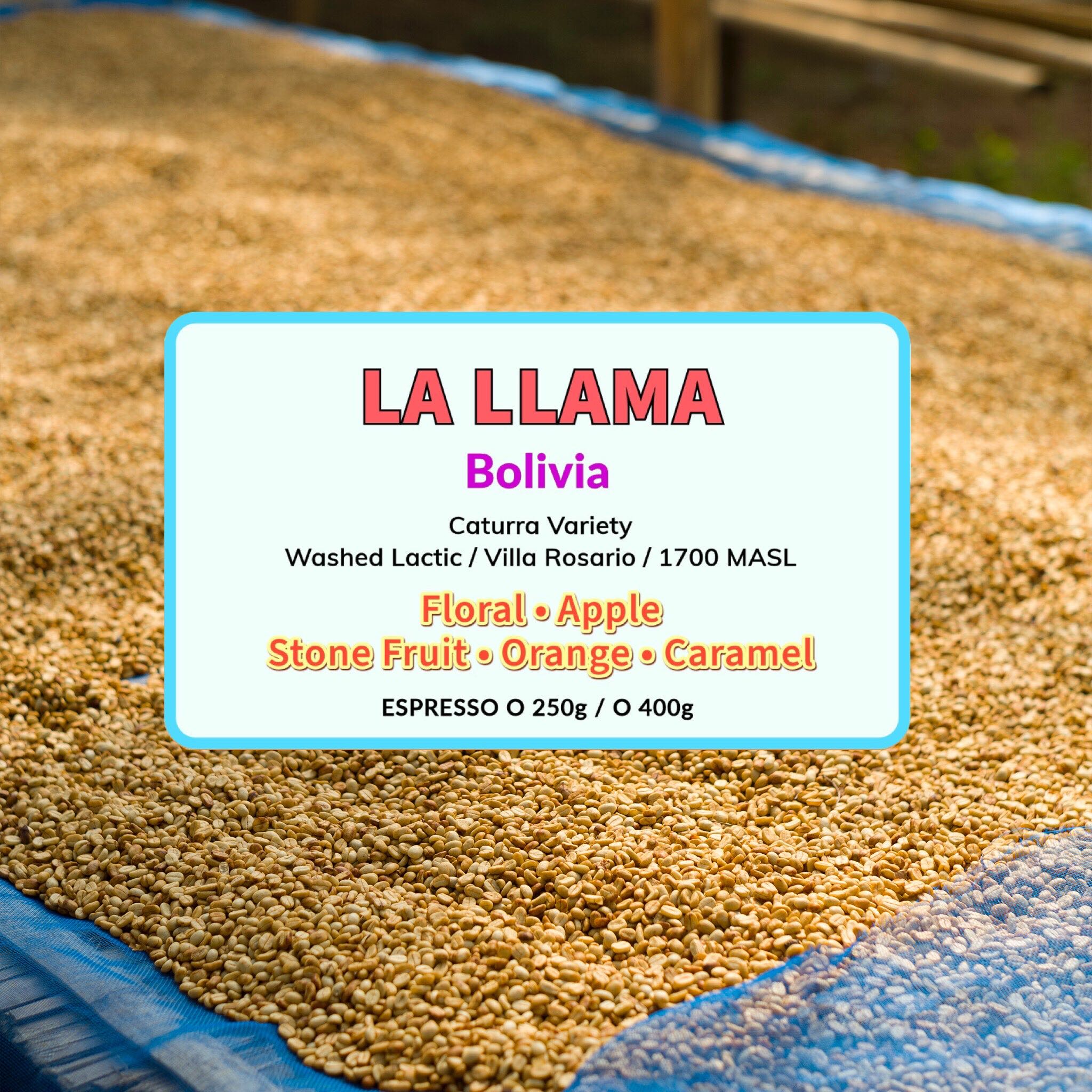 La Llama( Espresso Roasted )