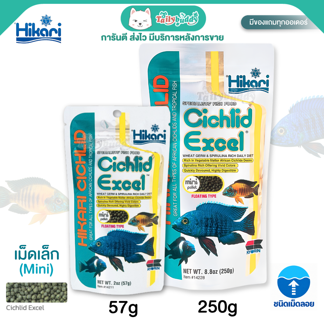 Hikari Cichlid Excel Floating อาหารปลาหมอสีมาลาวี เแบบลอยน้ำ เม็ดเล็ก (Mini)