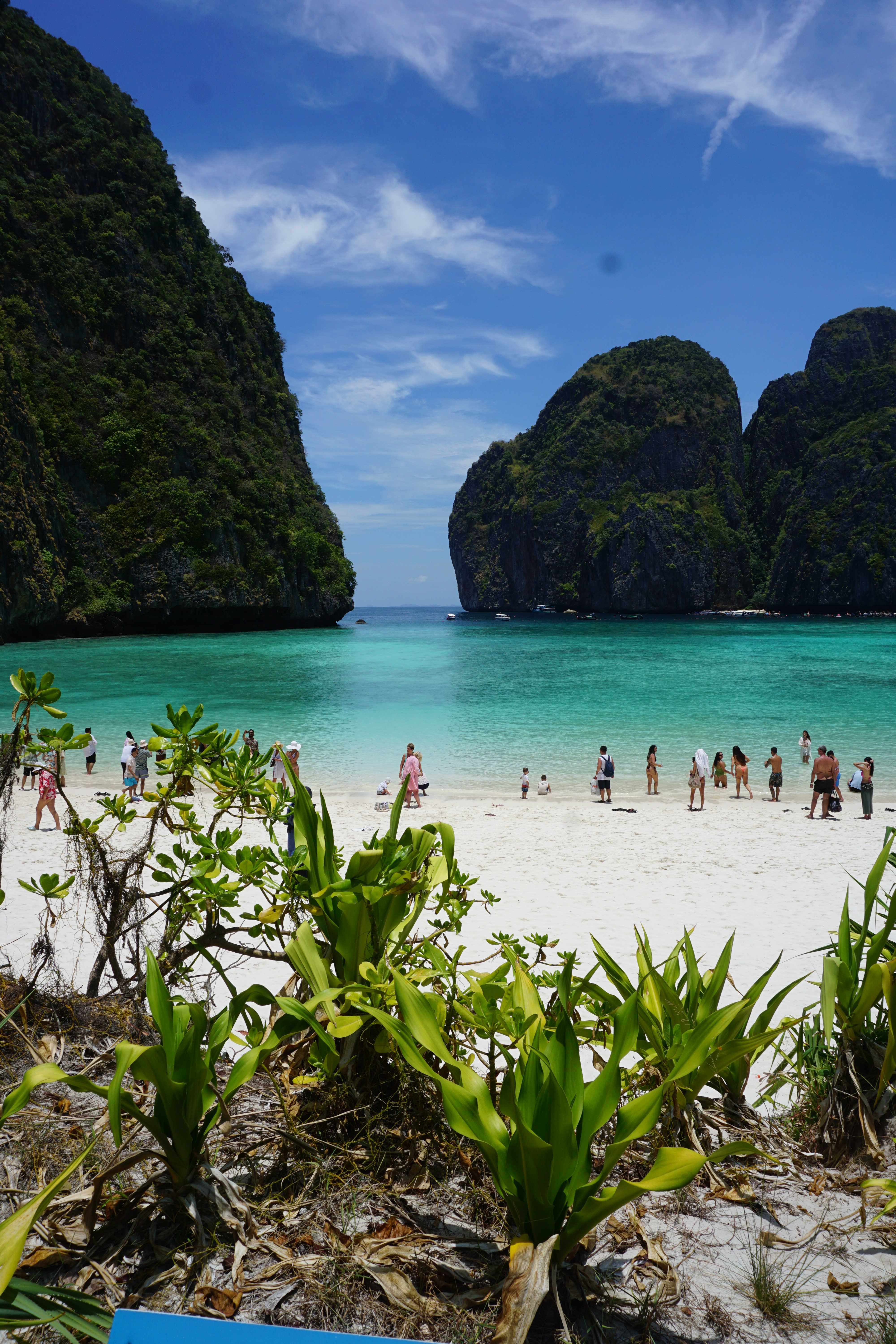 ทริปเกาะพีพี+เกาะไม้ท่อน Sunset เรือสปีดคาตามารัน  (โปรโมชั่นเฉพาะคนไทย)