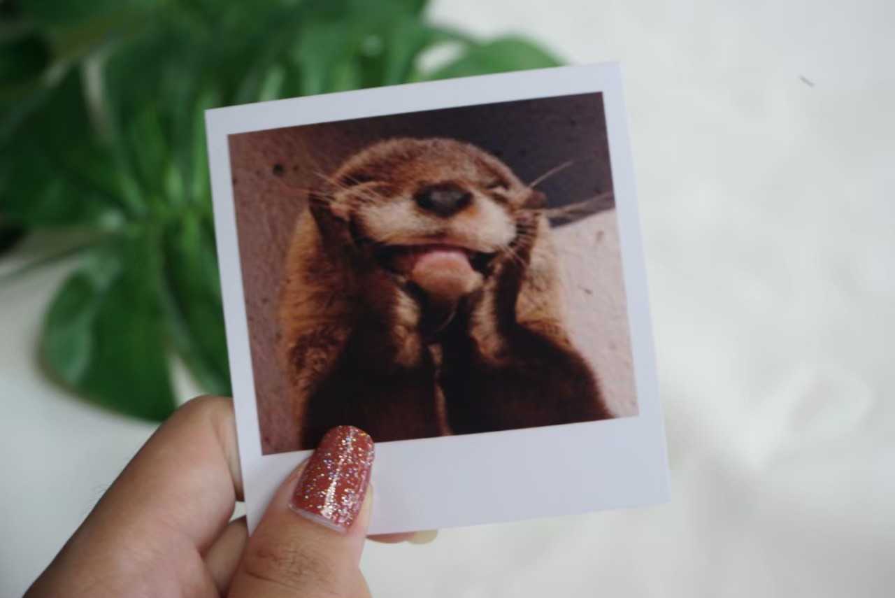polaroidขนาด3×3