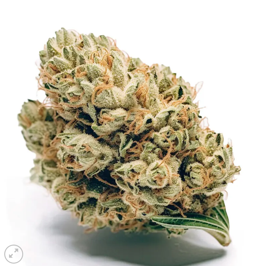 Jack Herer Autoflower pack 3