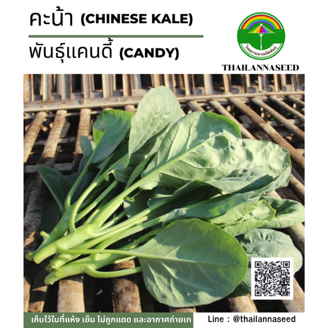 คะน้า พันธุ์แคนดี้ ( ขนาด 10 กรัม ) รหัสสินค้า 5009