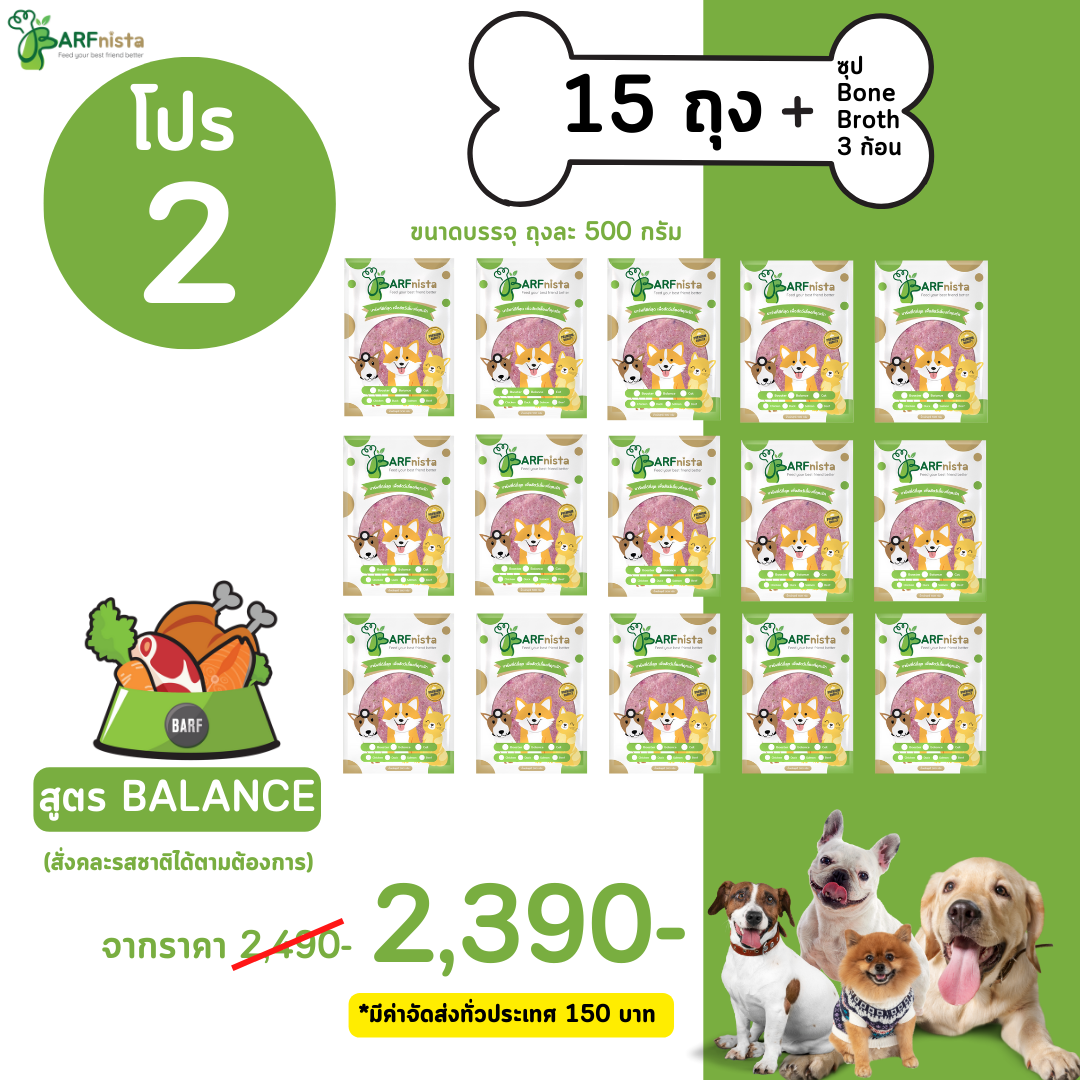 บาร์ฟสุนัข สูตร BALANCE คละรส สำหรับลูกสุนัขและสุนัขโต  โปรที่ 2 จำนวน 15 ถุง + ซุป 3 ก้อน