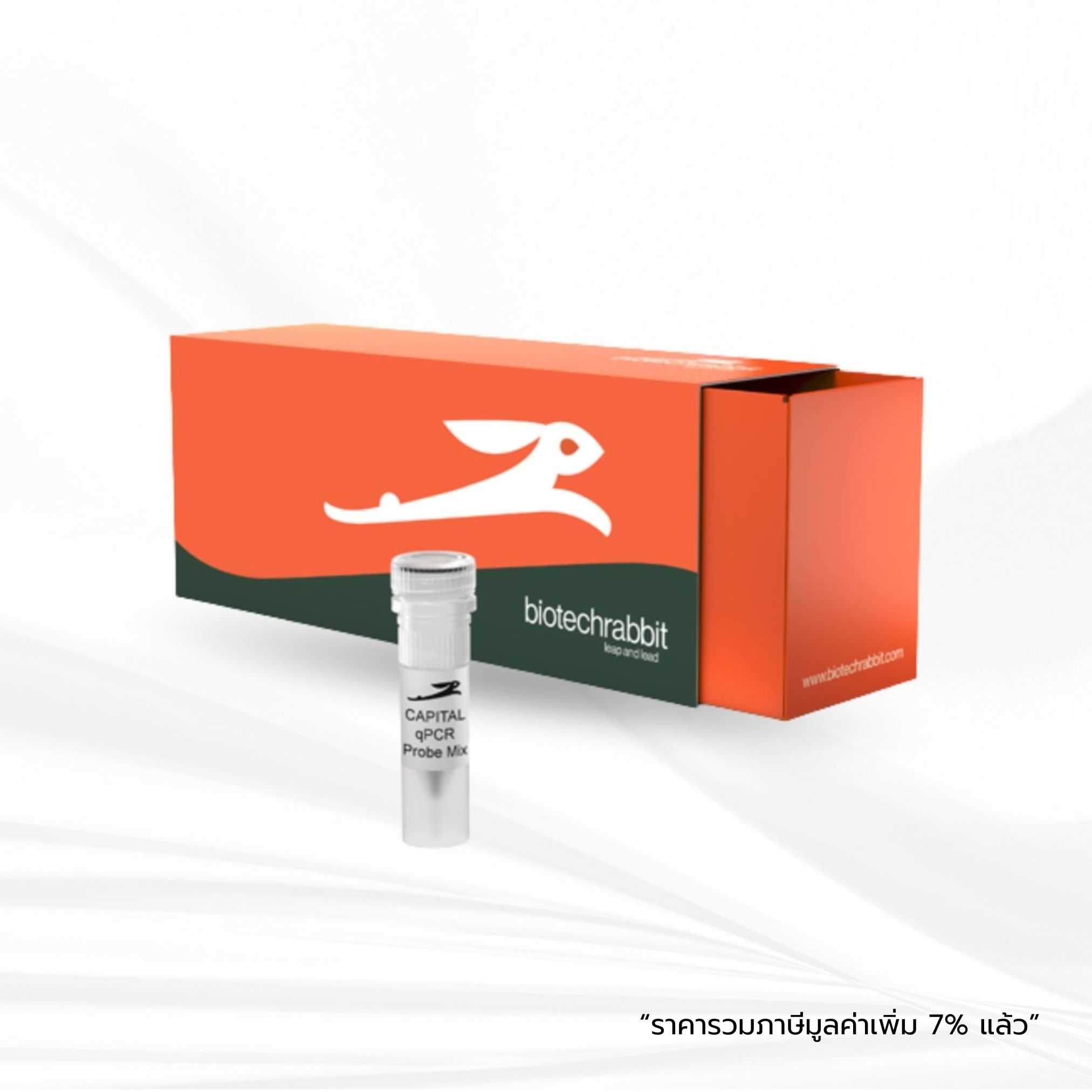 biotechrabbit 4X CAPITAL™ qPCR Probe Master Mix