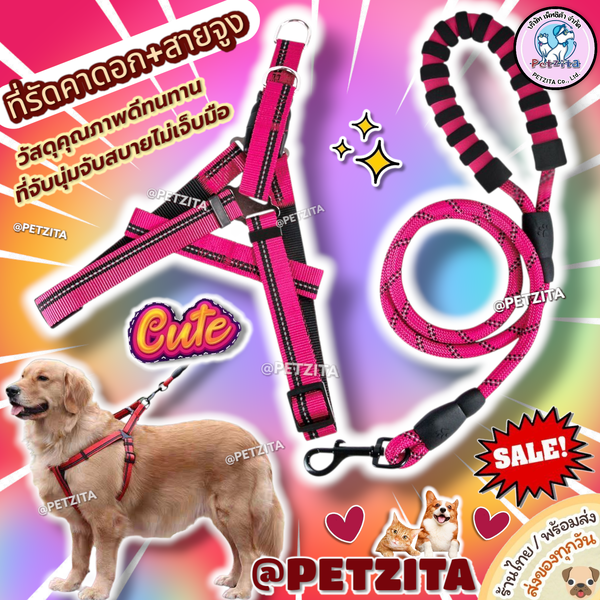 🇹🇭พร้อมส่ง💥 เซ็ทรัดคาดอกพร้อม สายจูงสุนัข รัดอก สายจูงสัตว์เลี้ยง สุนัข หมา แมว คุณภาพดี