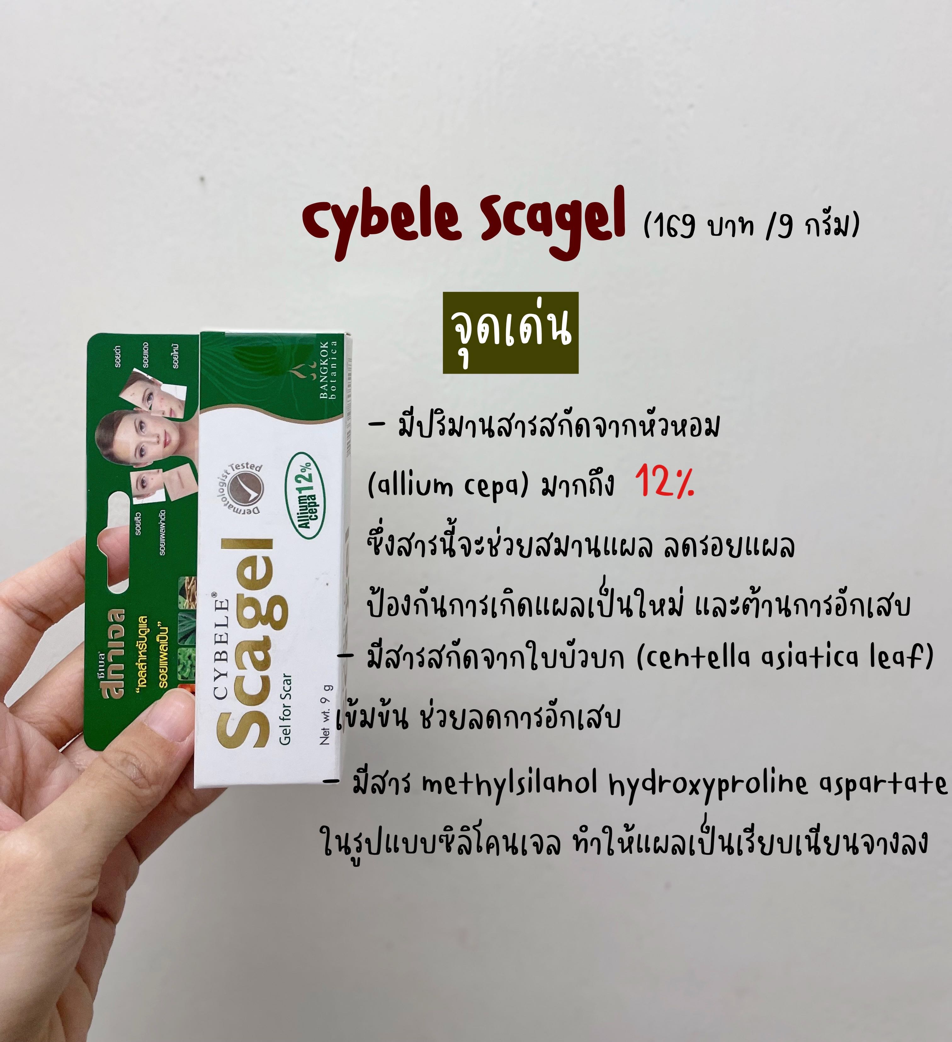 Cybele scagel 9 กรัม