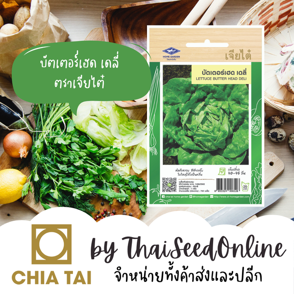 CTF1 เมล็ดพันธุ์ บัตเตอร์เฮด เดลี่ ตราเจียไต๋ Lettuce Butterhead Deli ผักกาดหอม ผักสลัด