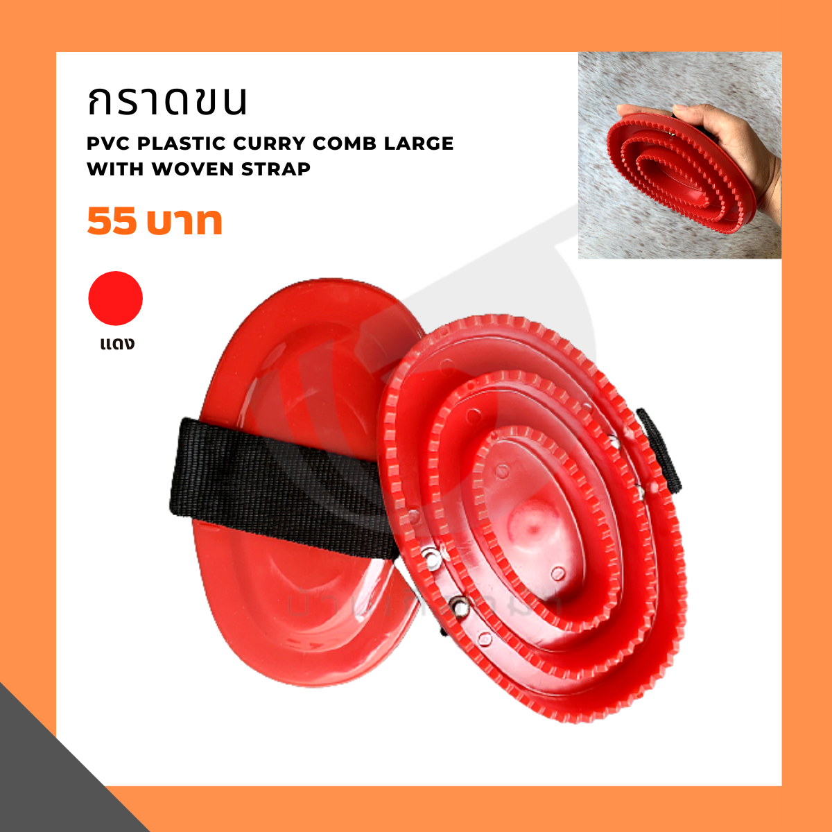 กราดขน PVC Plastic Curry Comb Large with Woven Strap
