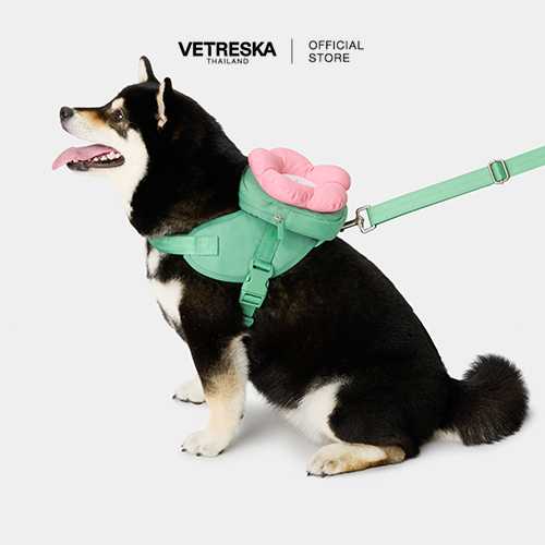 VETRESKA  Flora Pet Backpack & Harness 3 in 1 Set (XXS)