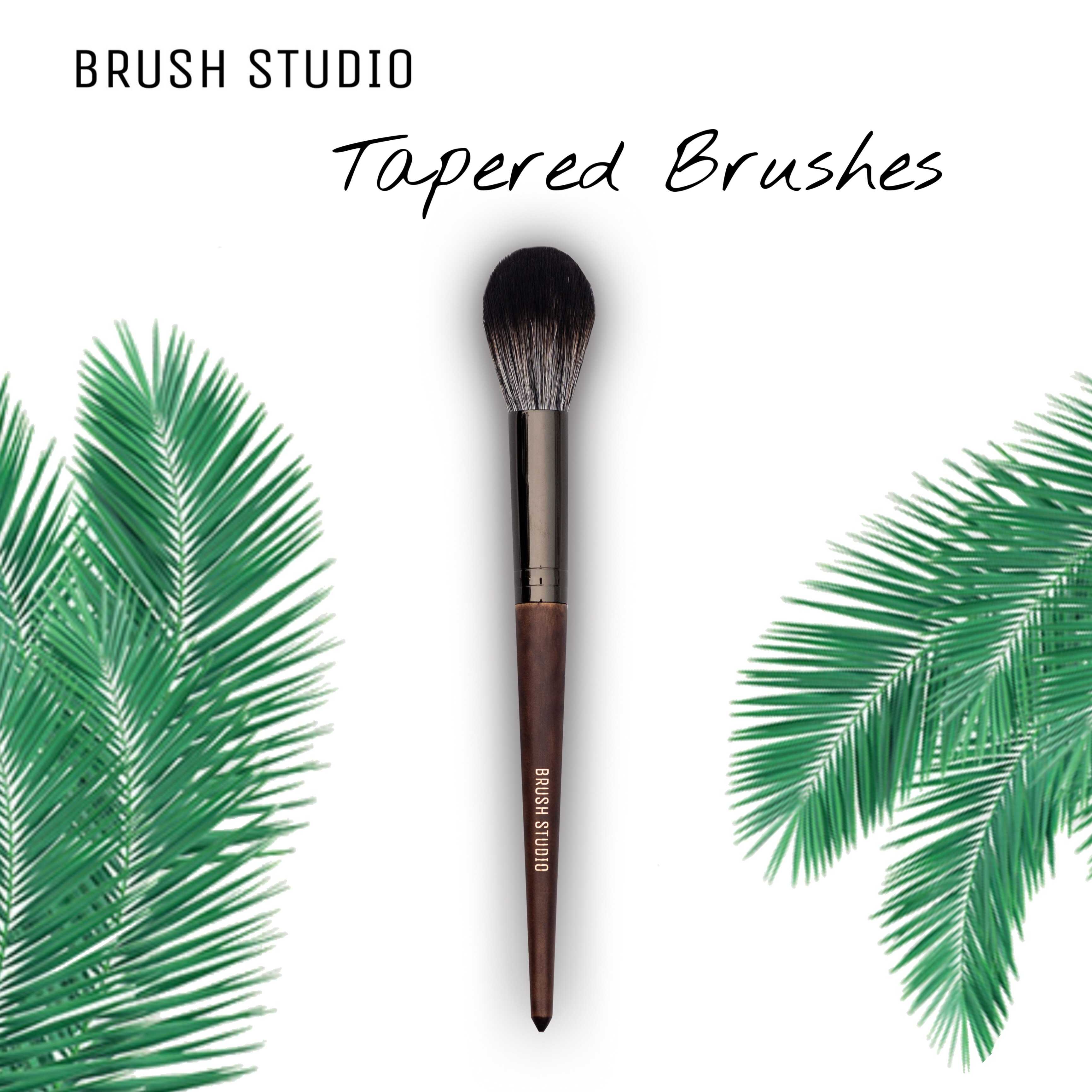 BRUSH STUDIO Tropical : Tapered Brush แปรงไฮไลต์ / บลัชออน