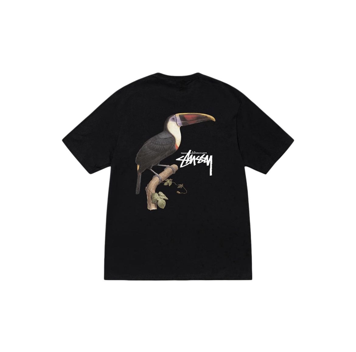 Stussy Tucan