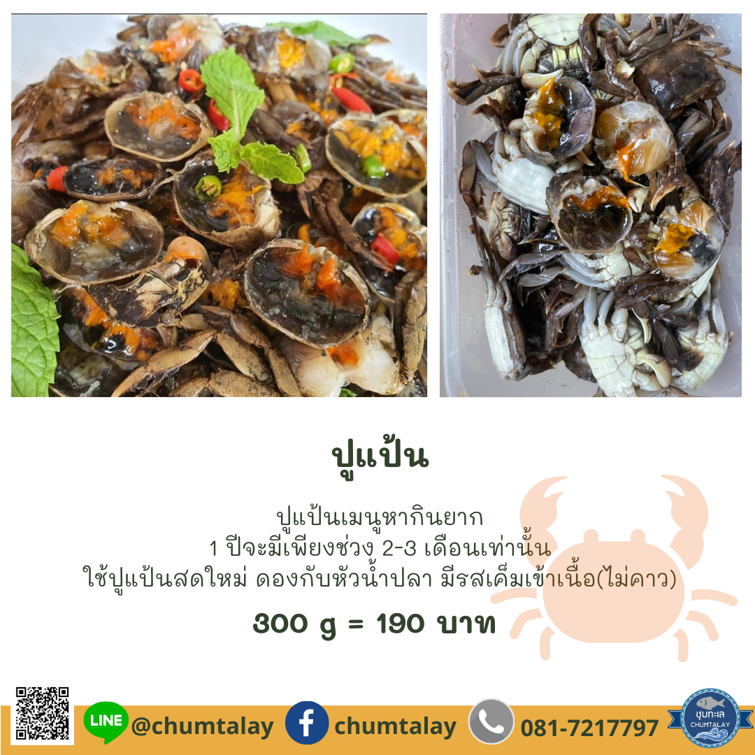 ปูแป้น