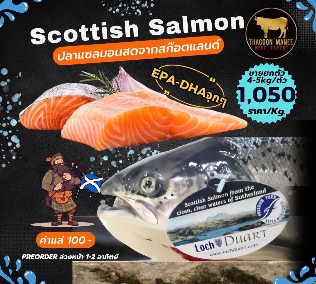 Pre-order Scottish salmon size4-5