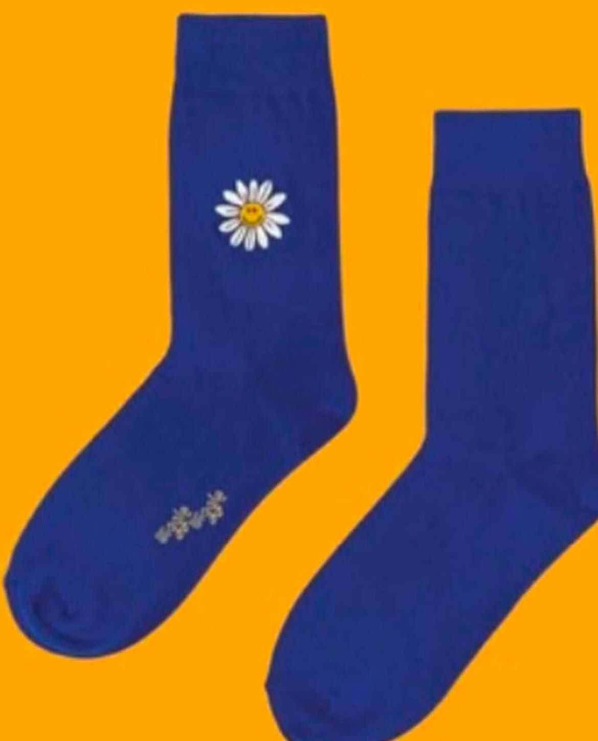 🇰🇷 WggleWiggle  Combed Cotton Sock  Free Size - KOR 220-280  มี7 สี-ลาย