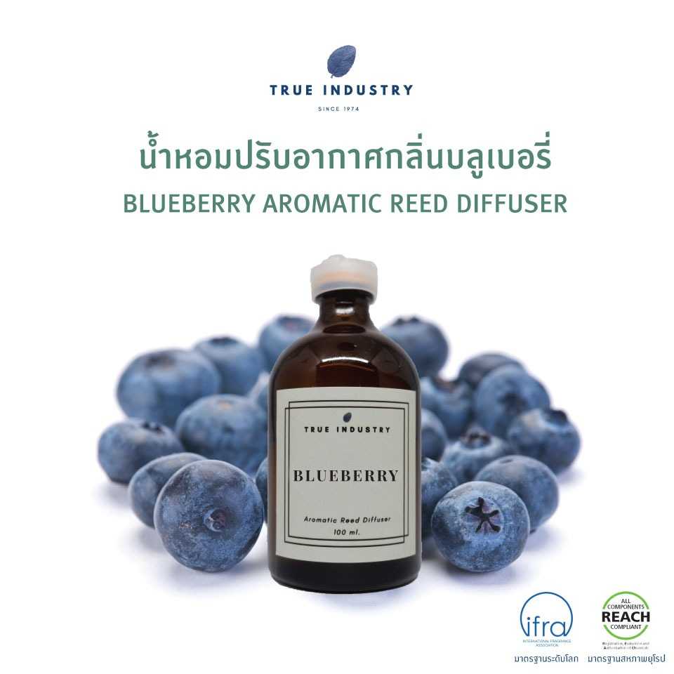 น้ำหอมปรับอากาศกลิ่นบลูเบอรี่  (Bluberry Aromatic Reed Diffuser)