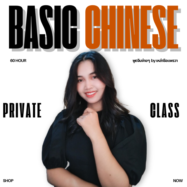 BASIC CHINESE