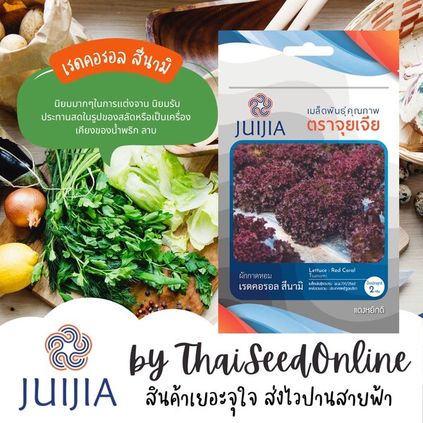 Juijia(จุยเจีย) JJ เมล็ดพันธุ์ จุยเจียสลัด เรดคอรอล ซึนามิ