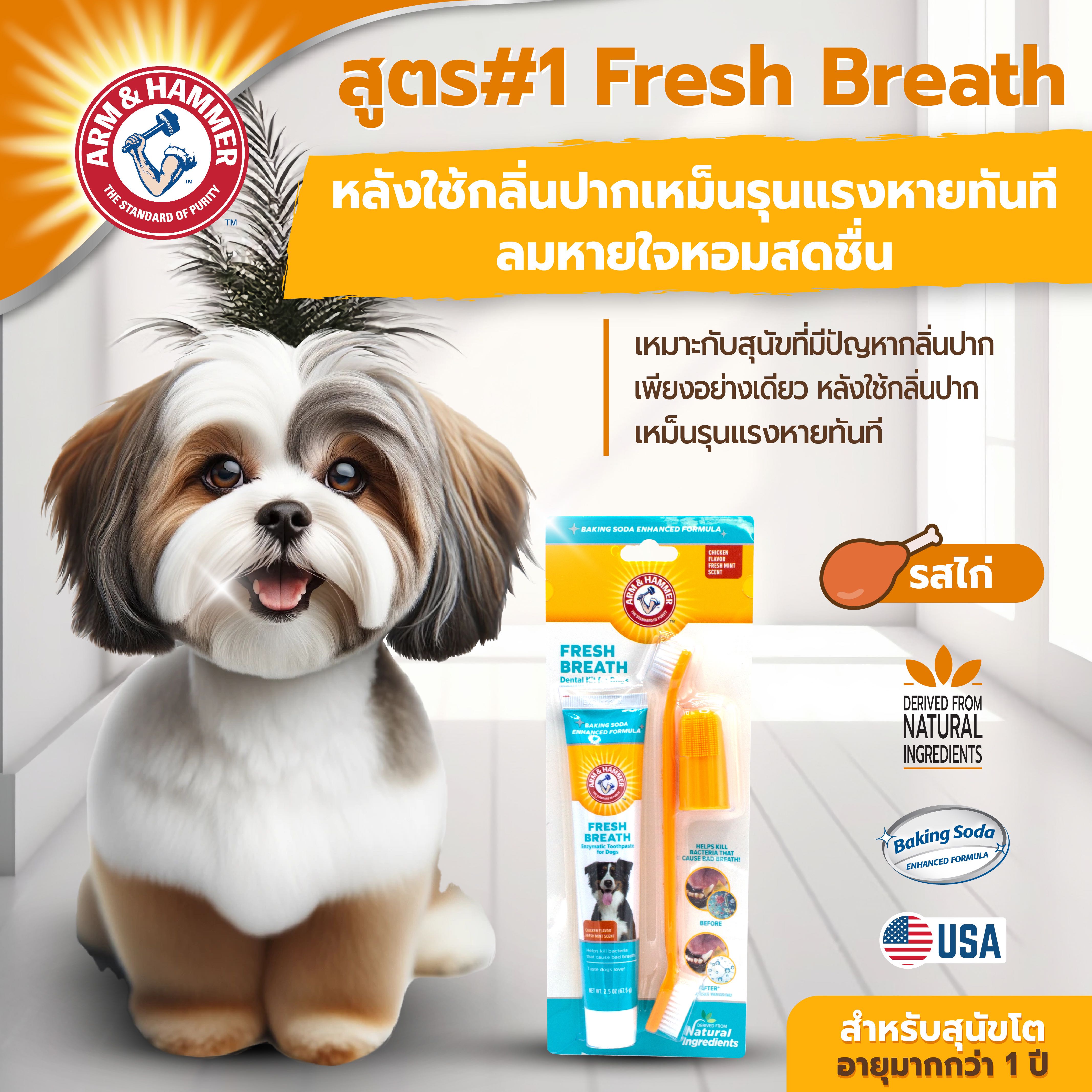 Arm and Hammer Fresh Breath ยาสีฟันสุนัข ชุดยาสีฟัน รสไก่มินต์ 67.5G. หินปูน ฟันผุ หินปูน