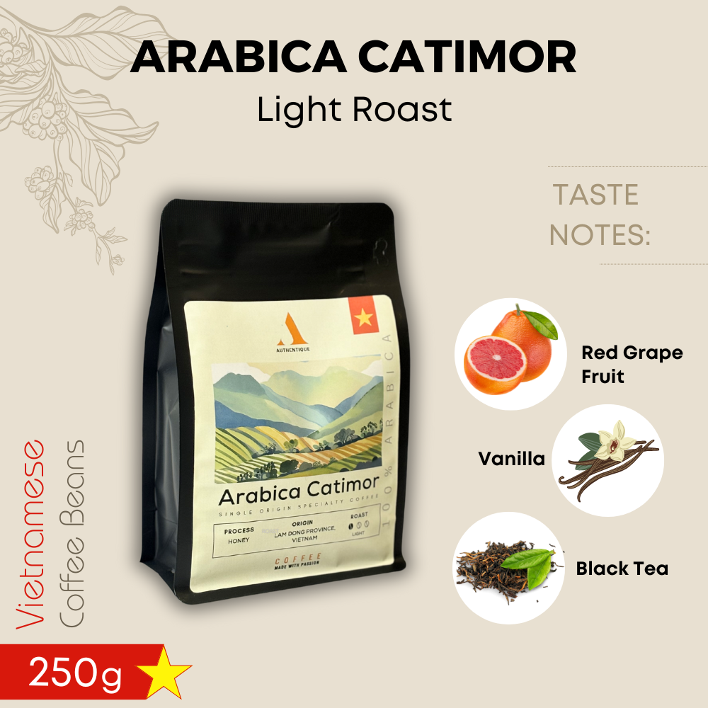 Authentique Specialty Arabica Catimor (Light Roast) (Vietnam Origin) Coffee Beans 250g