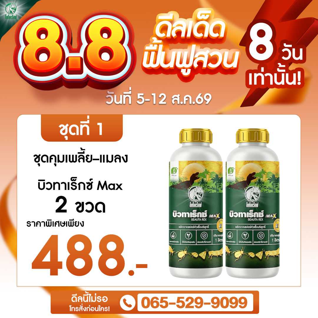 โปร 8.8 ชุดที่ 1
