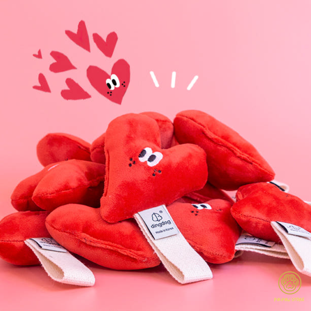 พร้อมส่ง Dingdog ของเล่นผ้ากัด เเก้คันฟัน น้องหมา ของเล่นสุนัข