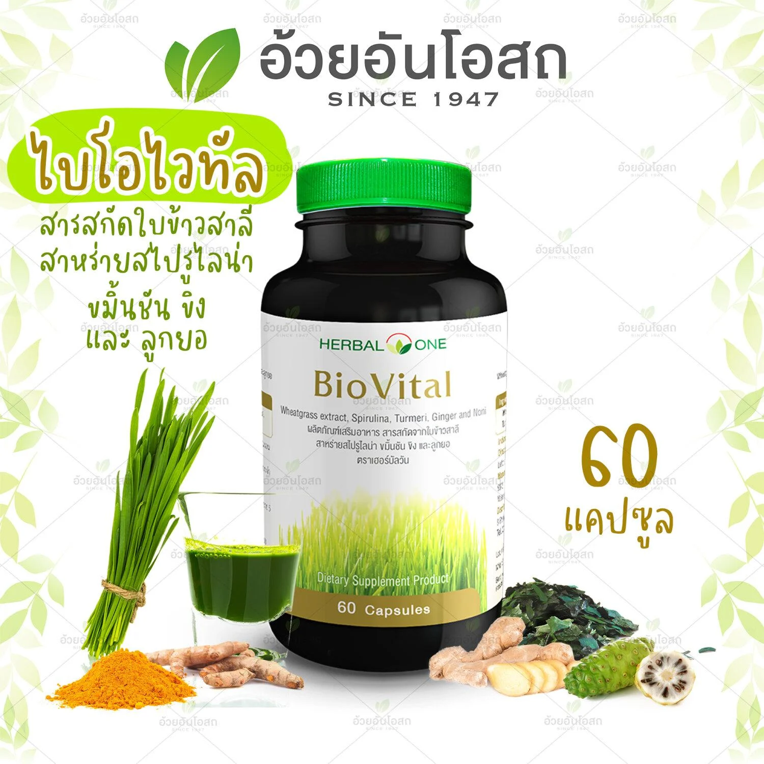 อ้วยอัน Biovital ไบโอไวทัล (สารสกัดจากต้นข้าวสาลีอ่อน) 60 แคปซูล / Herbal One