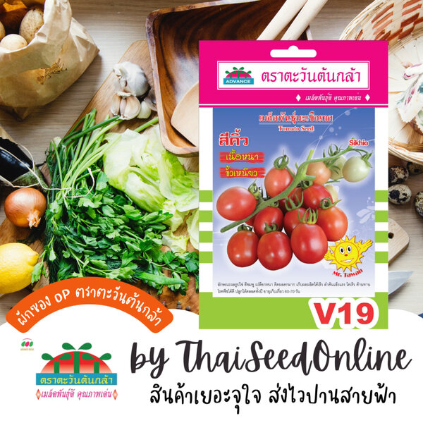 Advance Seeds(ตราตะวันต้นกล้า) ADVOP ซฟ เมล็ดพันธุ์ มะเขือเทศสีดา สีคิ้ว ตราตะวันต้นกล้า V19