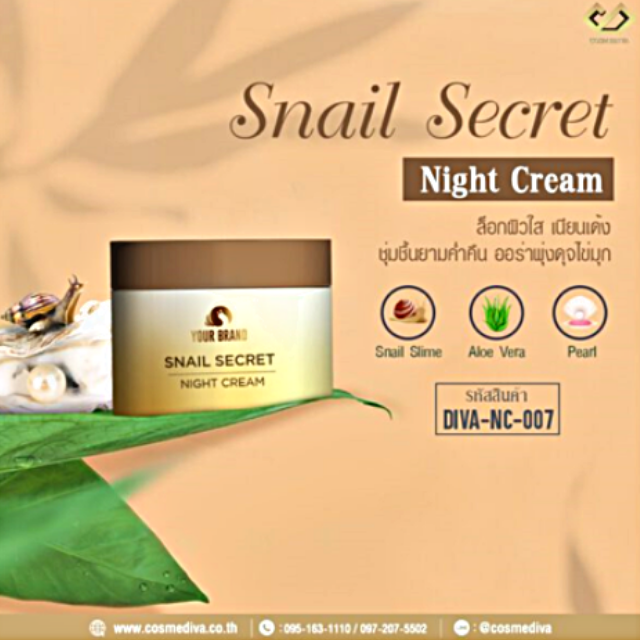 DIVA-NC-007 Snail Secret Night Cream