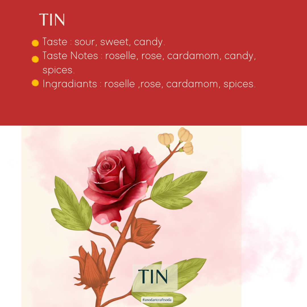 ติณ คราฟท์โซดา อะโนดาต / TIN Craft Soda (Anodart)