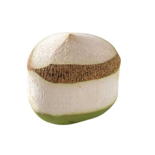 FG10010 มะพร้าวอ่อน Coconut Young ( 1 PCE )