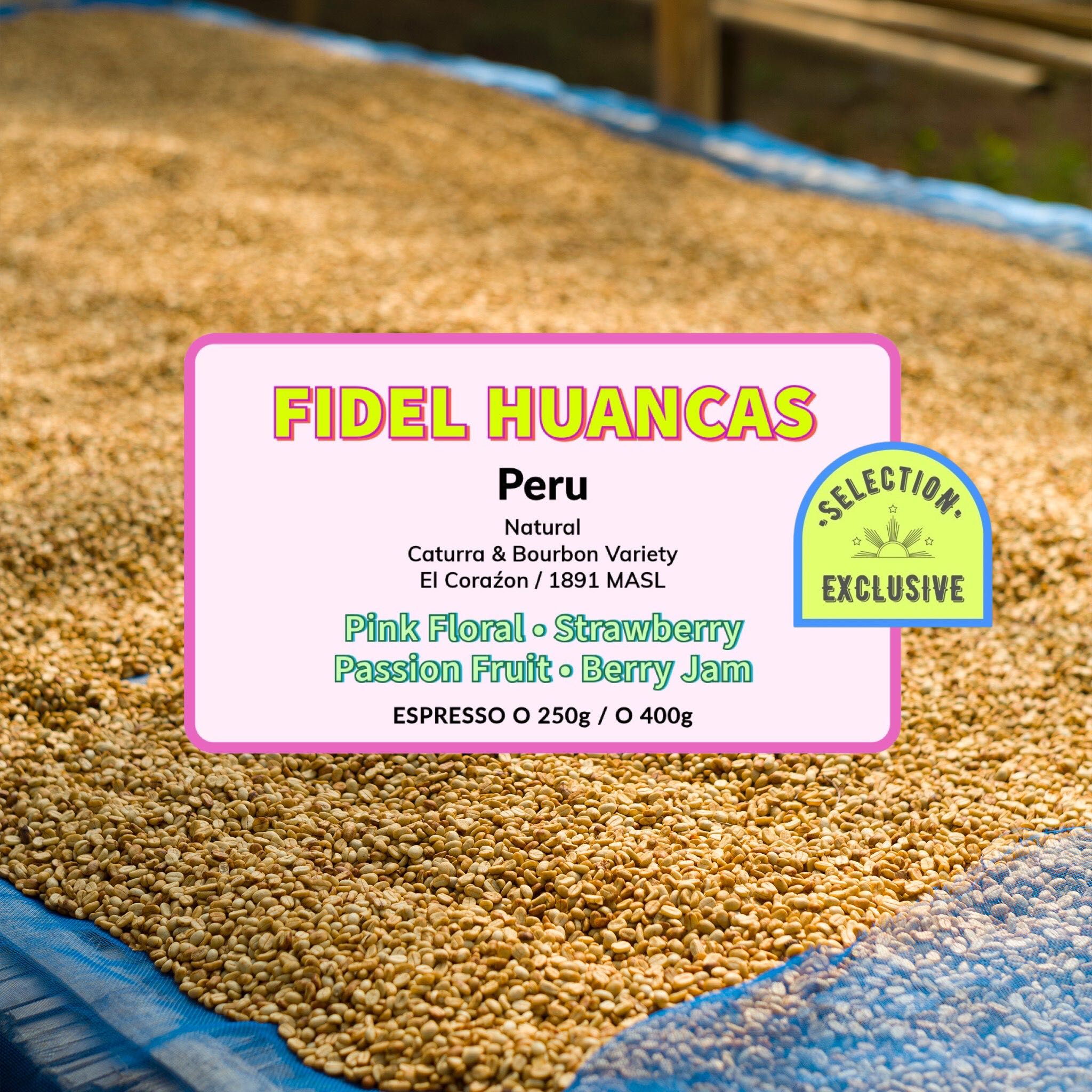 Fidel Huancas ( Espresso Roasted )